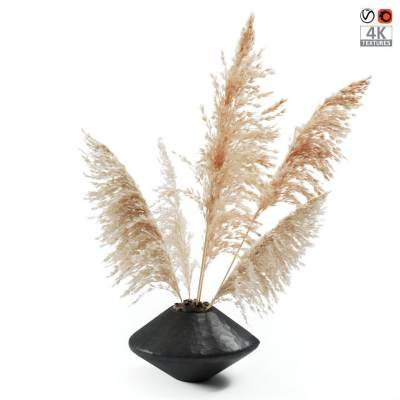 侘寂干花摆件